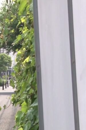 Urumi Narumi SNIS-246: Khát khao lẳng lơ, thân non ướt đẫm giữa Tokyo